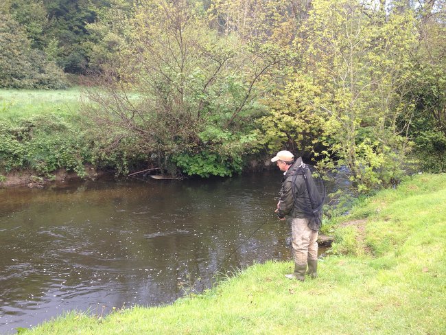 Fishing on the River Nevern at Llwyngwair