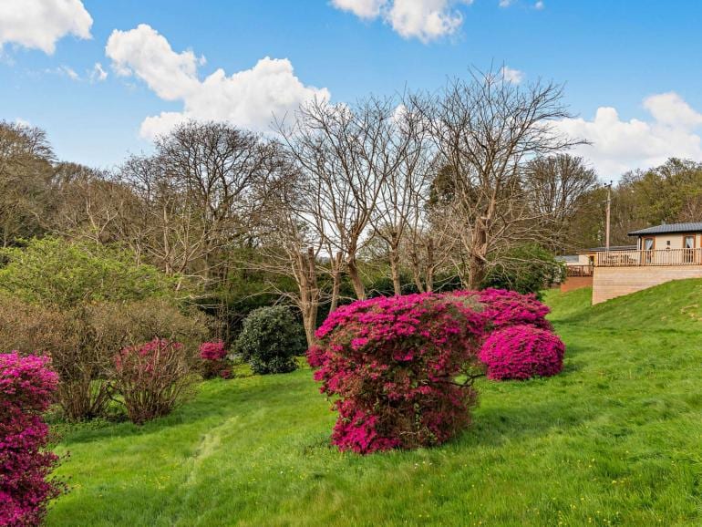Self-catering lodge exterior at Llwyngwair Manor
