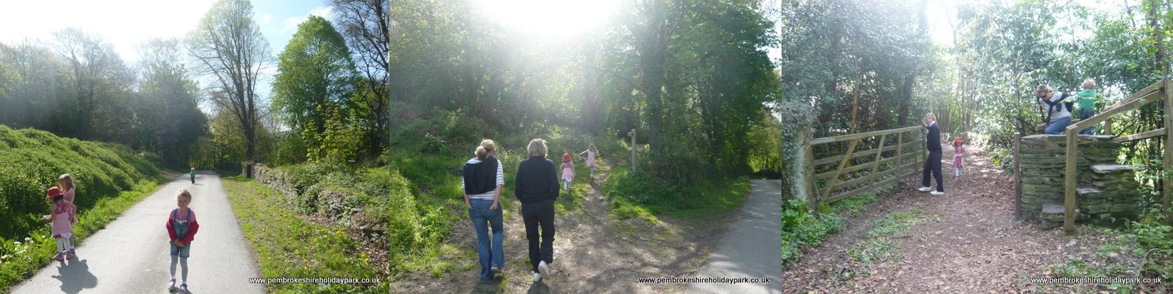 Walk to Nevern