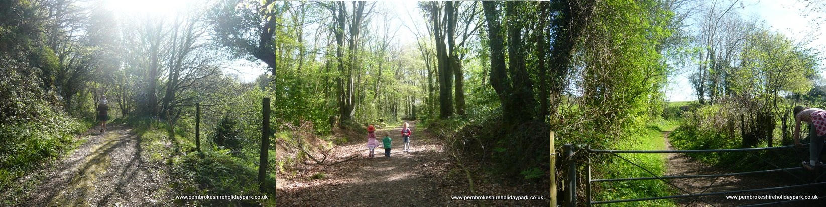 Walk to Nevern