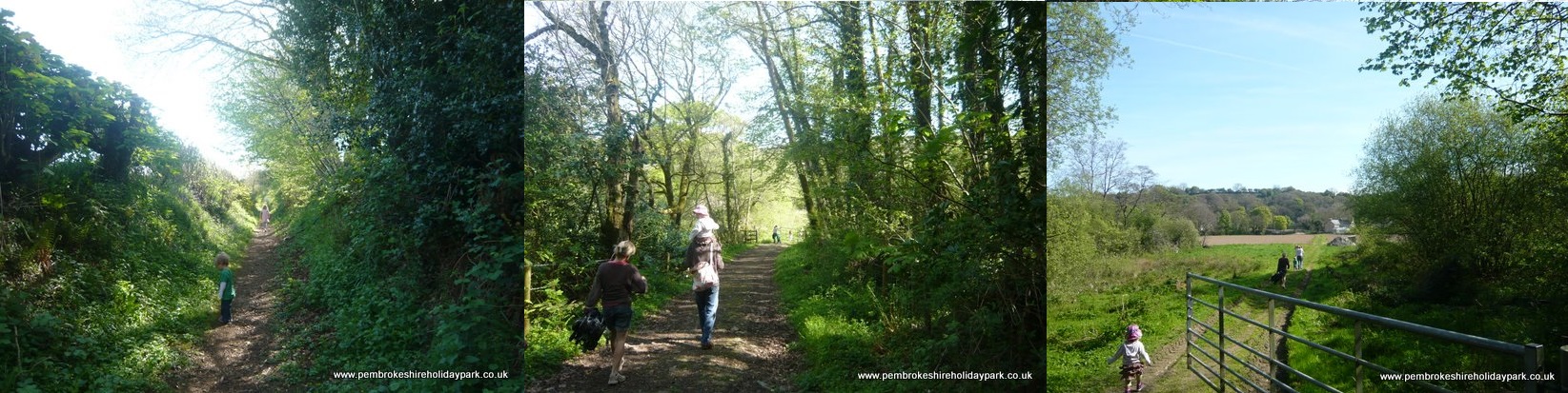 Walk to Nevern